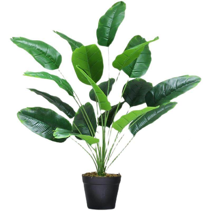 北欧风仿真植龟背竹盆栽物蕉叶假绿植院摆件芭家居室内景无品牌/,鲜花速递/花卉仿真/绿植园艺,造型盆景,淘宝优惠券,粉丝福利购,淘宝优惠卷