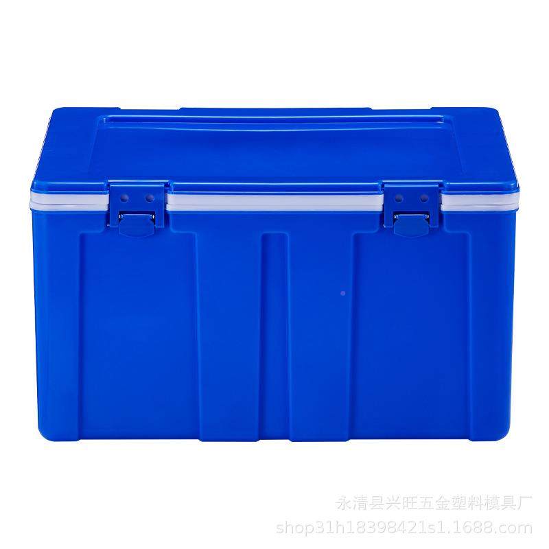 6L经典款保温箱户外车载保鲜箱露营冷0藏箱食品存放生配鲜p送p保