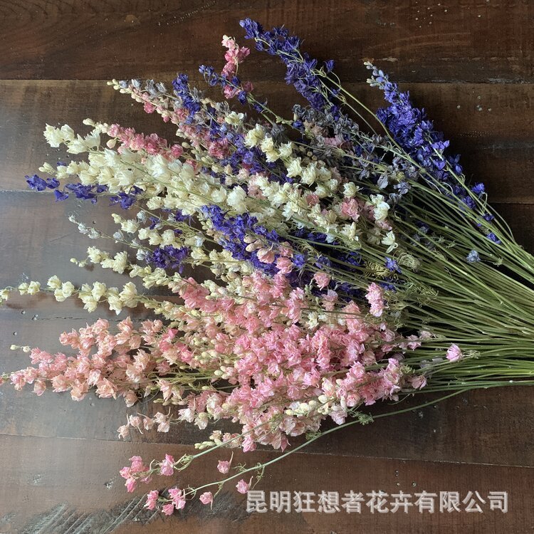 狂想者千鸟飞燕干花源头工厂 干花戛纳飞燕草花束手工DIY花材