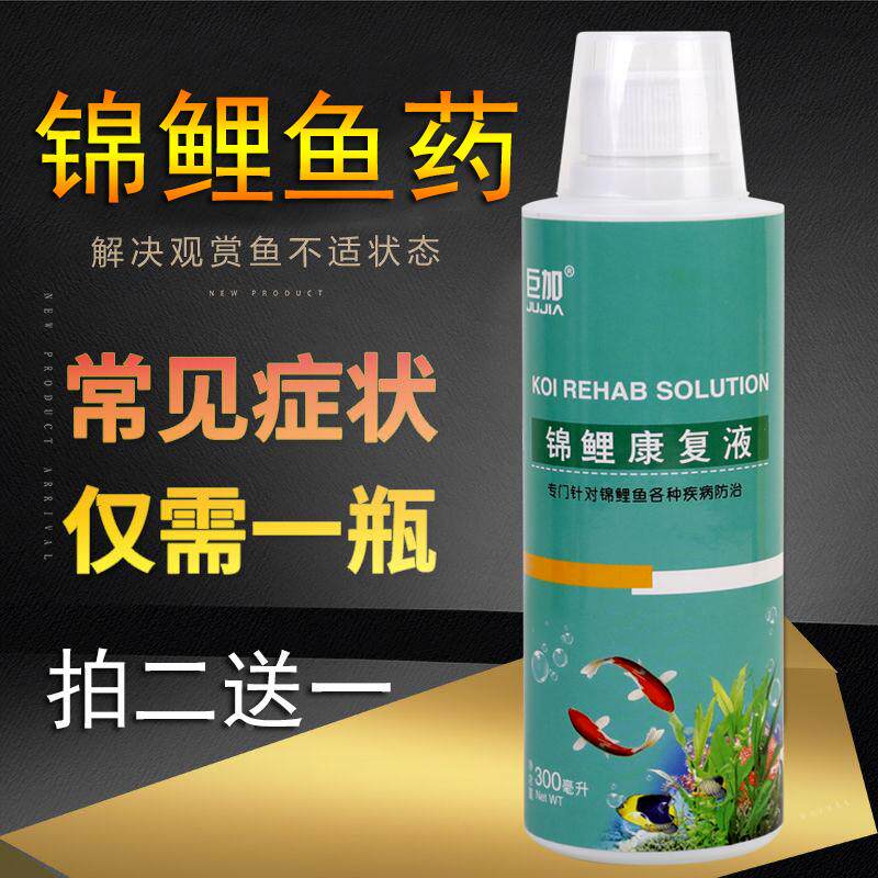 锦鲤鱼专用药观赏鱼药锦鲤康复液金鱼冷水鱼药立鳞肠炎腐烂水族