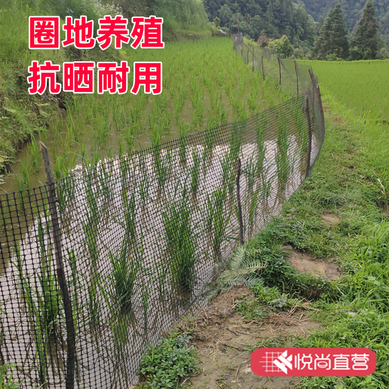 塑料网养殖网防护隔离栅栏护栏网养F鸡围栏网围网格网圈地圈玉米