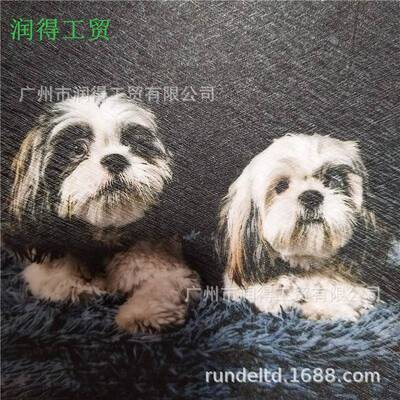 PV楼C蚕膜冷裱膜一卷起批保护膜影片膜写真63.5cmx装饰相框画标书