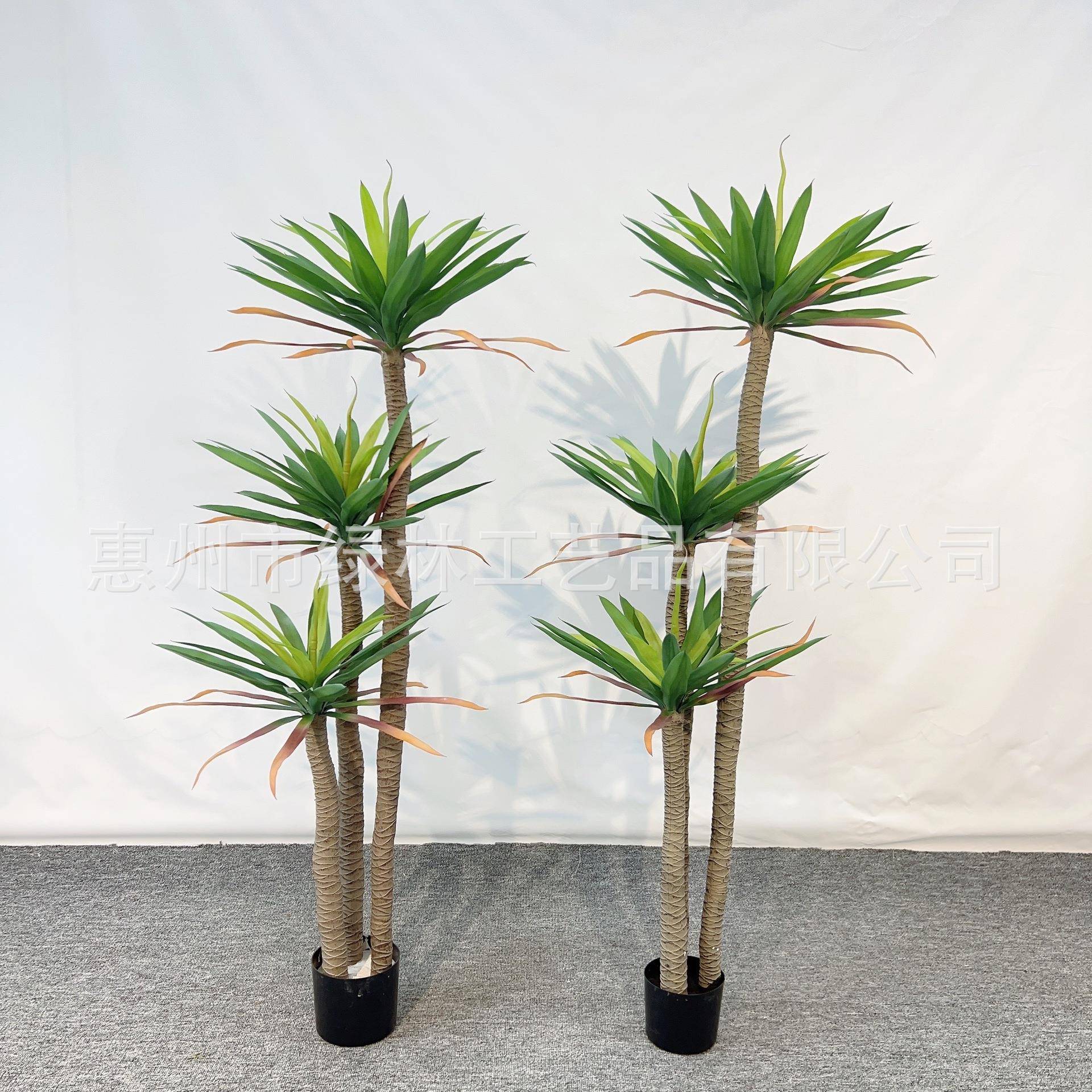 植仿荷兰铁仿真绿铁兰树橱窗装饰真摆件龙落舌兰地盆栽仿LL-98真
