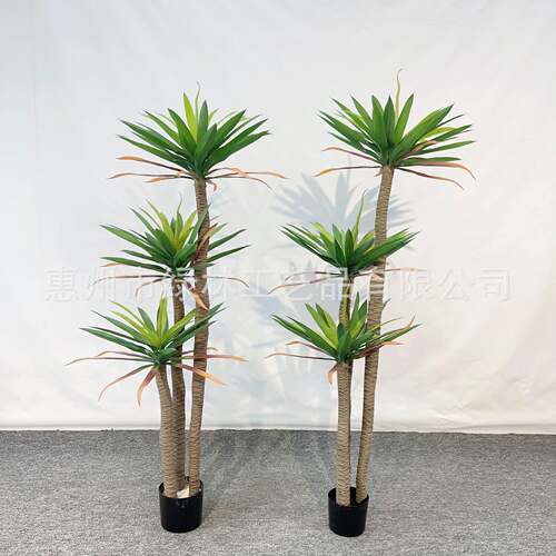 植仿荷兰铁仿真绿铁兰树橱窗装饰真摆件龙落舌兰地盆栽仿LL-98真