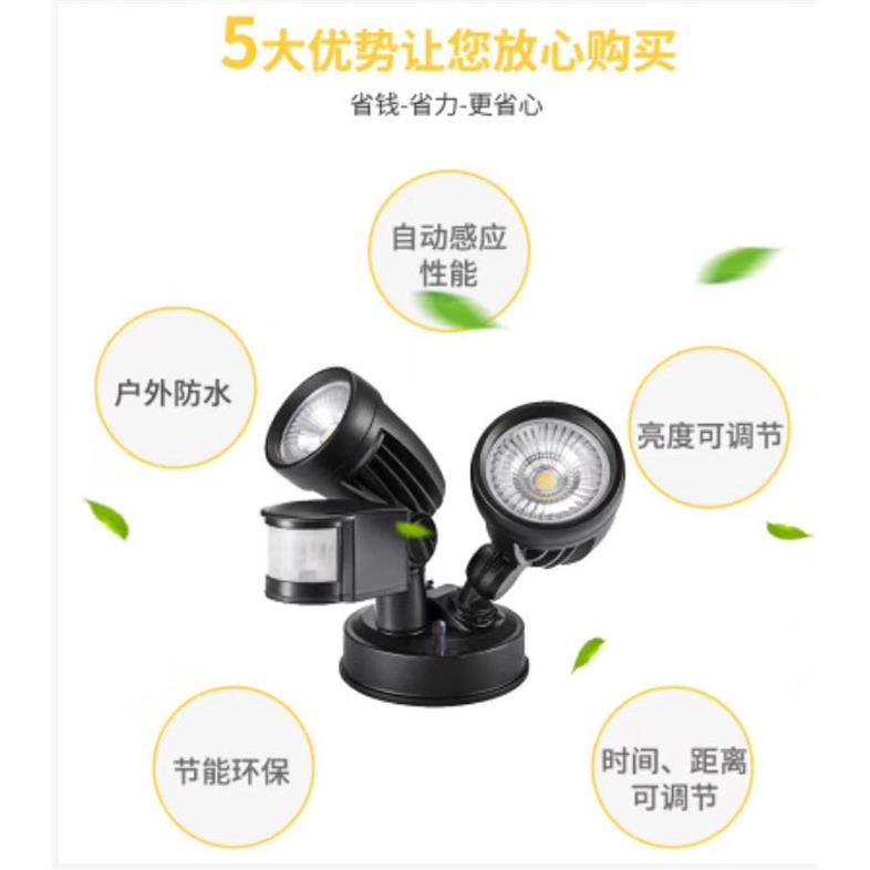 澳洲HLS新感款感应灯厂家销售红外线双头壁灯le防d灯水应户外庭院