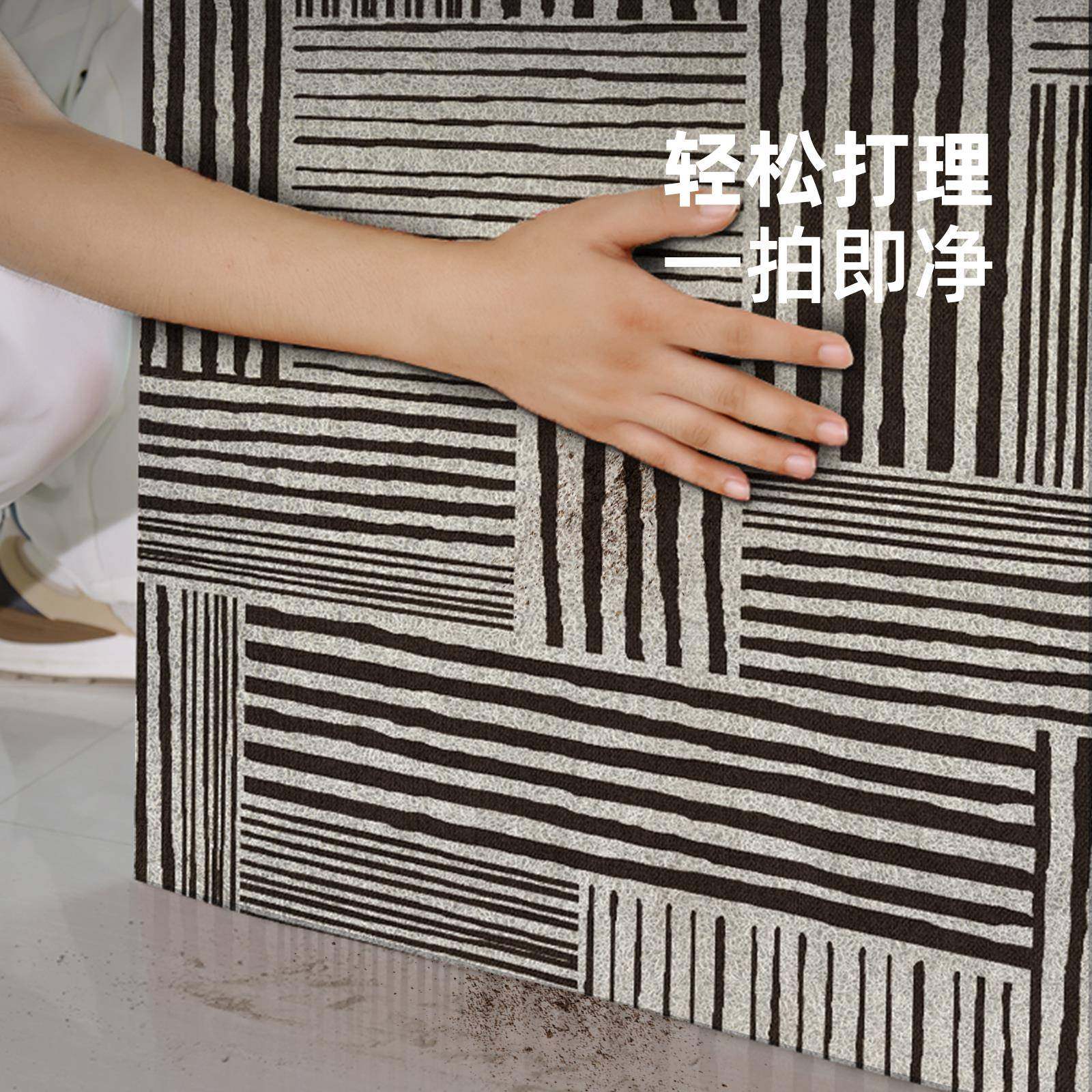 入户门地垫0关25门新款丝圈进门口家无品牌/用垫子耐脏防滑可裁剪