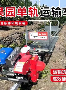 单轨山地运输车丘园陵茶园爬坡双轨道运车输搬YBH运山地果单输轨