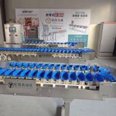 凤5691梨秋月梨称分装 分选机选果机橘果自柑动重水无损果托