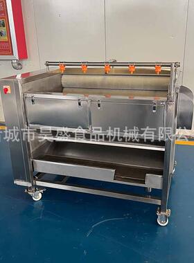 芋头毛辊去皮清设洗机莲藕毛刷清洗备洗现SPC货马蹄红薯清去皮机