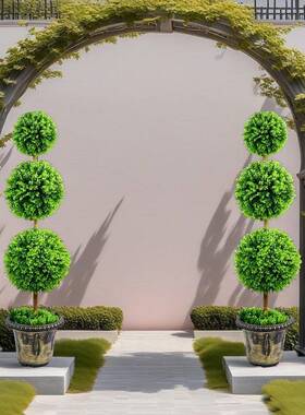 热真销树米兰球螺旋树40994家居客厅饰2盆景10装cm真植物