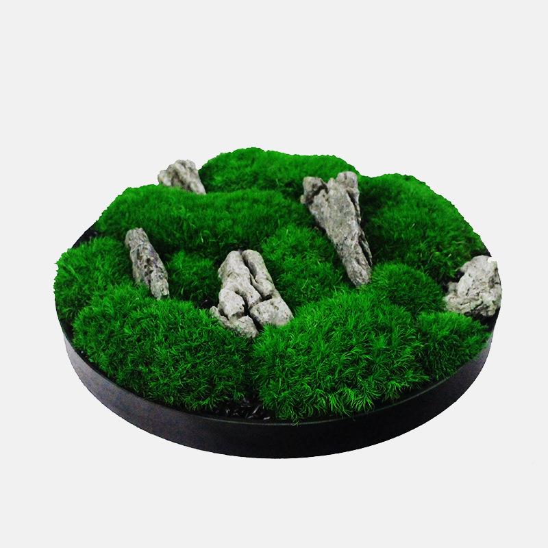 永生苔藓微观板花艺茶盆景售景楼样房客厅室新中式DOD装饰品开业