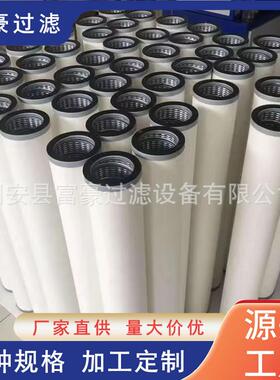 GCGA5536MS滤1气多元混合MMC气处理设备高纯单质液聚结分离器芯