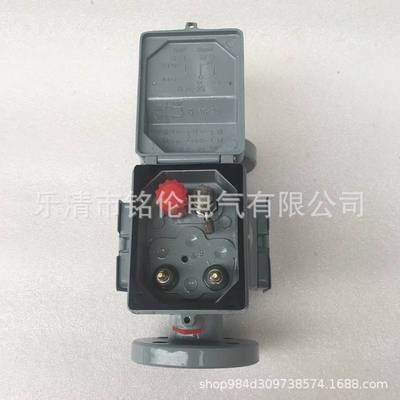 QJ4型变压器气体继电器 QJ4G-25TH瓦斯继电器 保护器 沈阳四兴