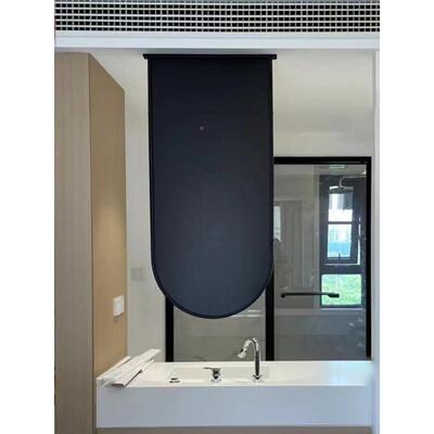 d!天子花板形悬挂30288拱吊镜干区过道吊顶洗手台空吊镜悬镜带灯