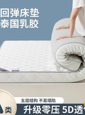 ?新宿级乳胶床垫租房家用地升铺睡垫学生加榻MFL榻米床垫舍软厚垫
