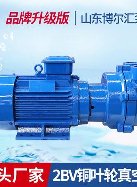 2V2060水环式真空泵工业用2BV49536系列0.81kB空水循环真空泵w压