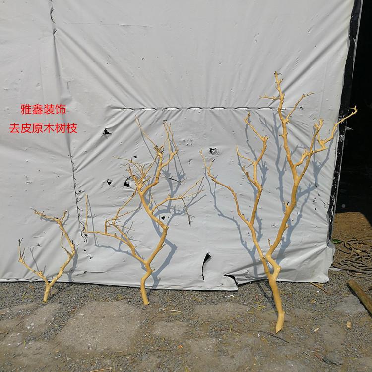 枝F76MTSSS?干树枝去皮木原树干枯枝带分带杈树枝室内挂灯干树花