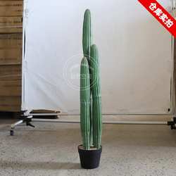 仿真仙人掌植物沙漠绿植造景墨西哥仙人掌量天尺假仙人柱沙生绿植