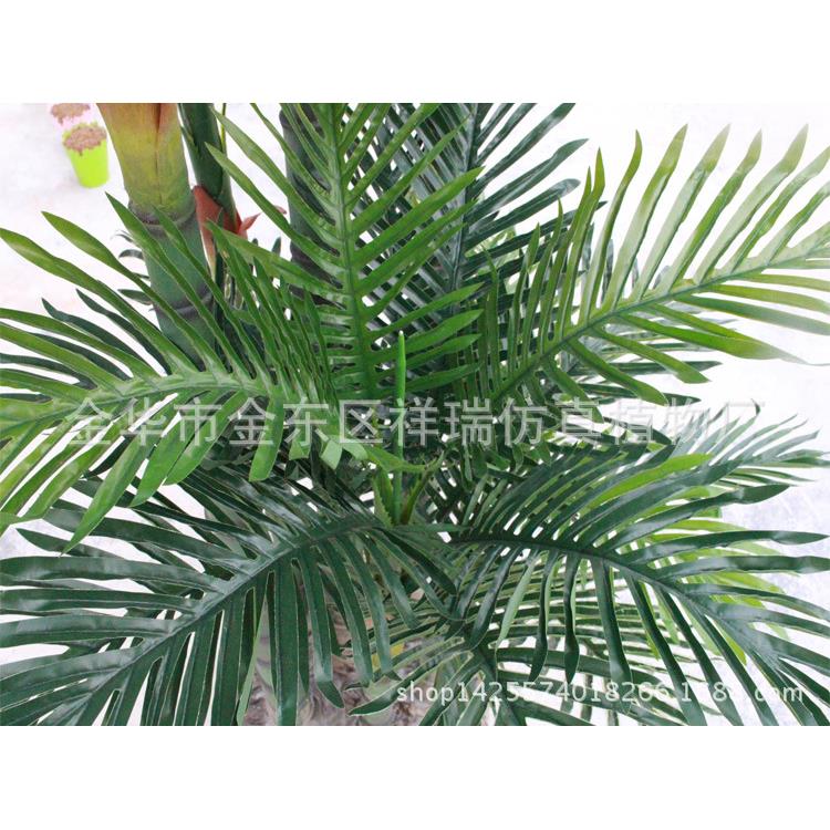 仿真植物树叶1.8米五杆小葵叶过胶棕榈科葵叶细葵叶落地盆景