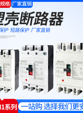 RMM1-225L/3300 110A/125A/140A/160A/180A/200A/225A