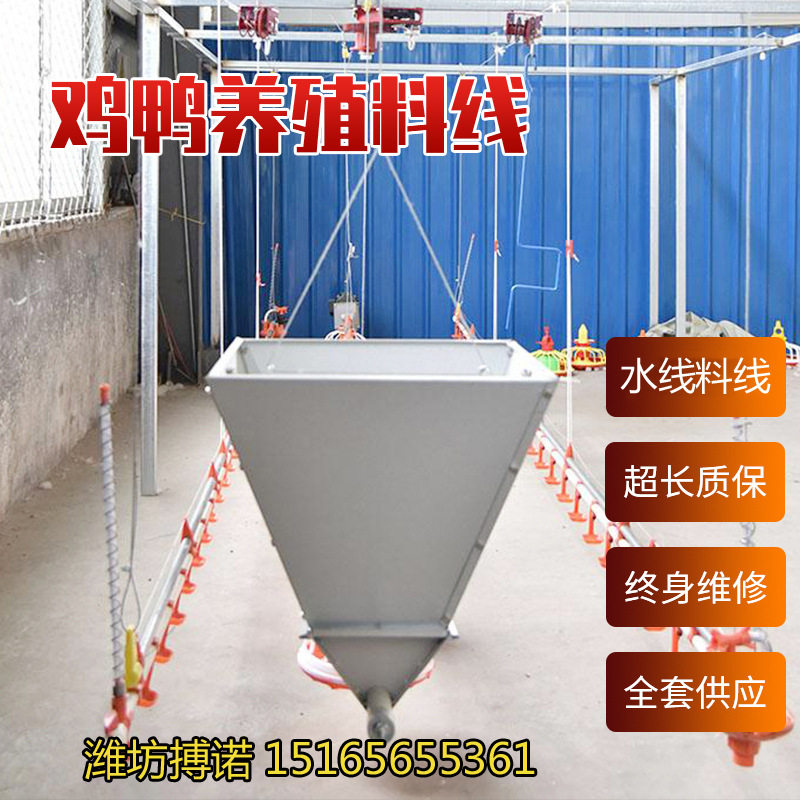 山东料线厂家养鸡自动料线水线畜牧养殖设备自动上料机鸡舍喂食器