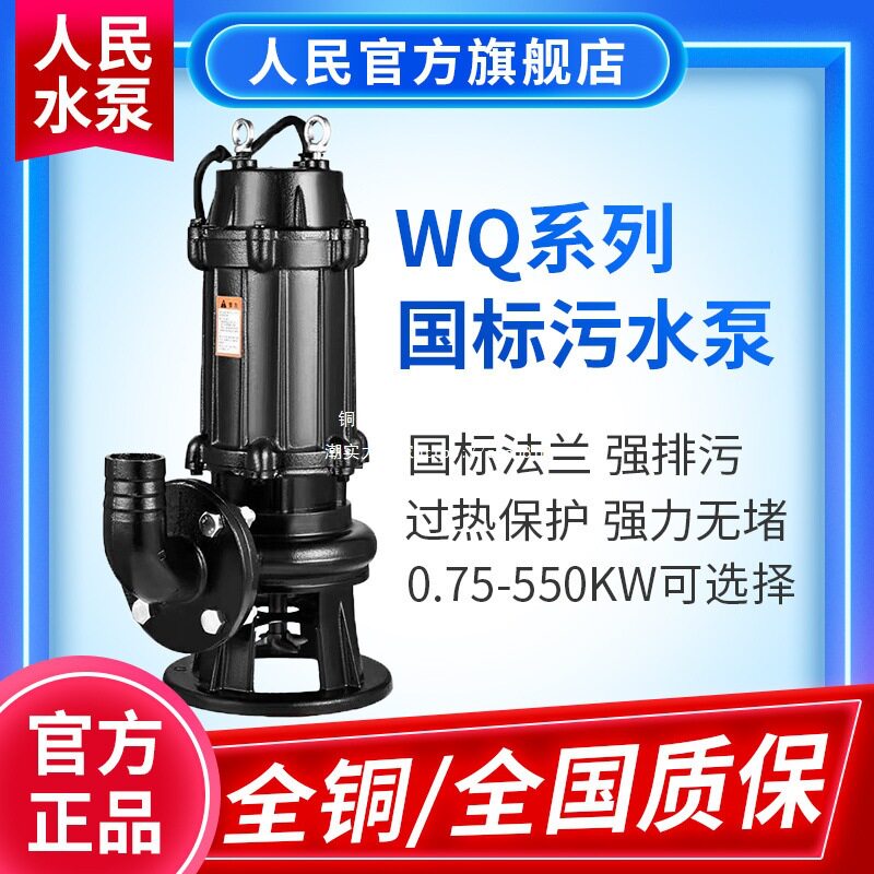 国标污水泵380v三相电上海国标潜水泵标准抽水水泵排污泵铸铁图片