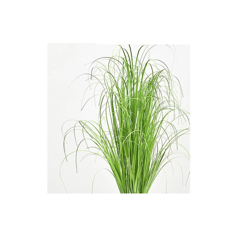 定制仿真盆景假植物仿真洋葱草造景装饰品摆件工艺品仿生绿植盆栽