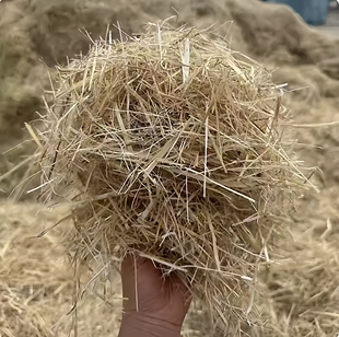 鸡窝下蛋稻草干草垫料秸秆家用纯天然鸟窝母鸡小鸽子宠物保暖草垫
