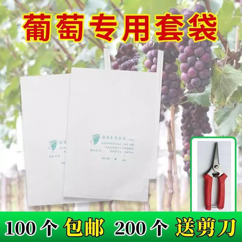 葡萄套袋专用防虫防鸟保护套袋果袋半透明果树防水莲雾无花果释迦