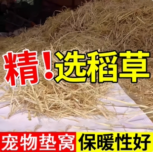 鹦鹉草鸽子窝垫草鸽子窝保暖鸭窝家用养鸭批发兔子垫窝干稻草干草