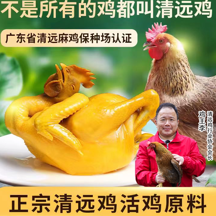叹鸡正宗广东清远盐焗鸡整只800g