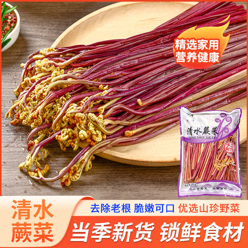 清水蕨菜新鲜龙爪菜火锅串串香麻辣烫凉拌菜食材冒菜商用批发