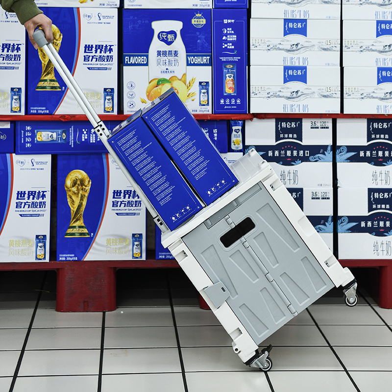 多功能家用可携式折叠买菜车v购物手拉车取快递小拉车推车塑料小