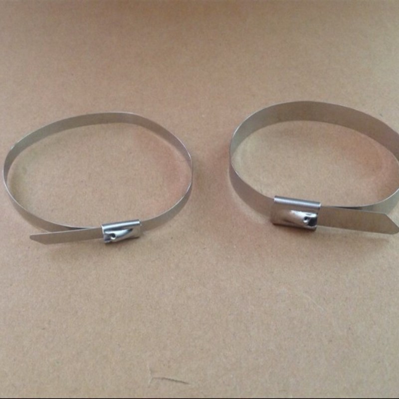 【规格齐全】4.6*350mm自锁式不锈钢扎带304金属扎W带船用电缆交