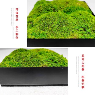新中式仿真青苔永生苔藓客厅餐桌售楼处绿植盆景摆件茶台微观盆栽
