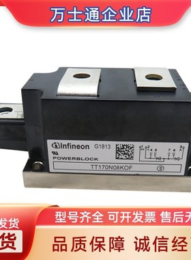 TT170N16KOF TT210N08KOF TT210N12KOF全新可控硅模块现货