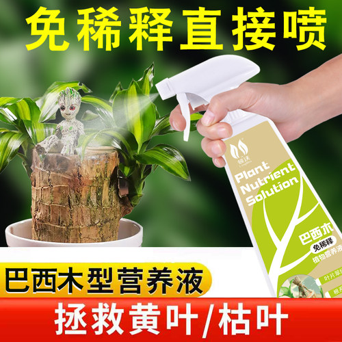 速发营养液免稀释木通用肥料盆运专用幸栽木水培植物直喷型肥