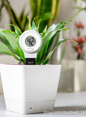 RainPoint 土壤温湿度传感器检测仪温度计湿度计 工厂货源