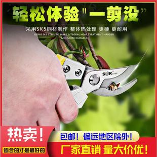 修剪树枝果树枝剪 包邮 热卖 世克SK3607园林8寸修枝剪花草园艺剪刀