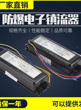防爆电子整流器FBDZ40-1&times;2L 1拖2 20W40W/220V防爆高效节能