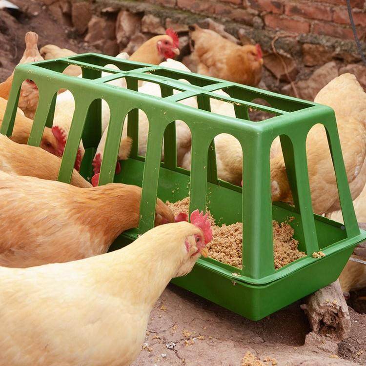 【丹箐】家用喂鸡食槽料槽防撒养殖设备鸭鹅喂鸡神器饲料桶饲料盆,农用物资,苗木固定器/支撑器,淘宝优惠券,粉丝福利购,淘宝优惠卷