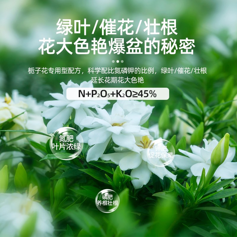栀子花肥料专用缓释肥家用盆栽促开花复合肥喜酸性植物通用催花肥
