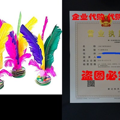HDYD Colorful Feather Chinese Jianzi Kicking Shuttlecock Fo