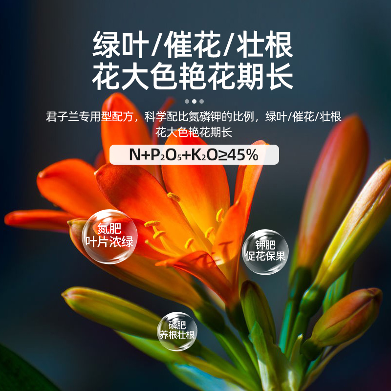 君子兰肥料专用肥缓释肥兰科兰花墨兰蝴蝶兰促开花盆栽植物颗粒肥