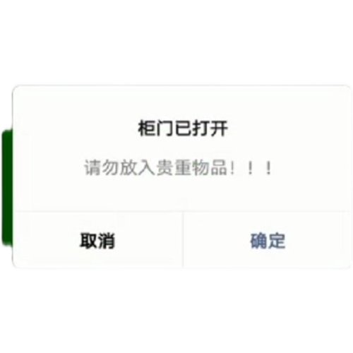 超市商场水上乐园微信存包柜寄存柜储物柜红外扫码刷卡密码指纹柜
