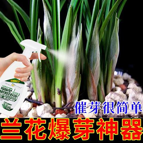 兰花营养液花肥料专用肥长效室内肥料液体盆栽家用君子兰蝴蝶兰