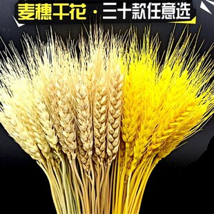 橡果稻谷的插花篮麦穗干花庆典杂粮摆设假花开店稻穗艺术小麦青稞