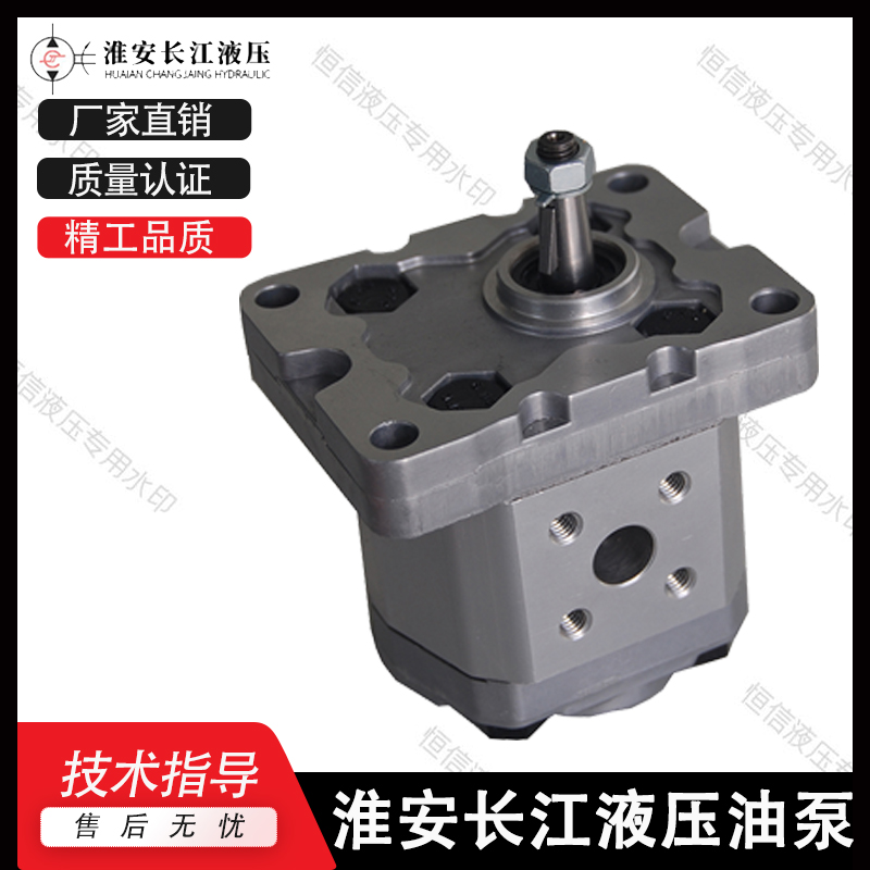 淮安长江齿轮泵CBT-F525/F532/F540/F550/F563 精装液压油泵