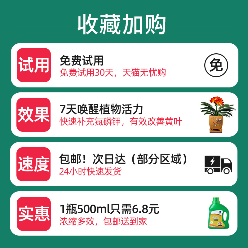 君子兰肥料专用肥营养液家用兰花养花有机肥料盆栽通用型促开花肥