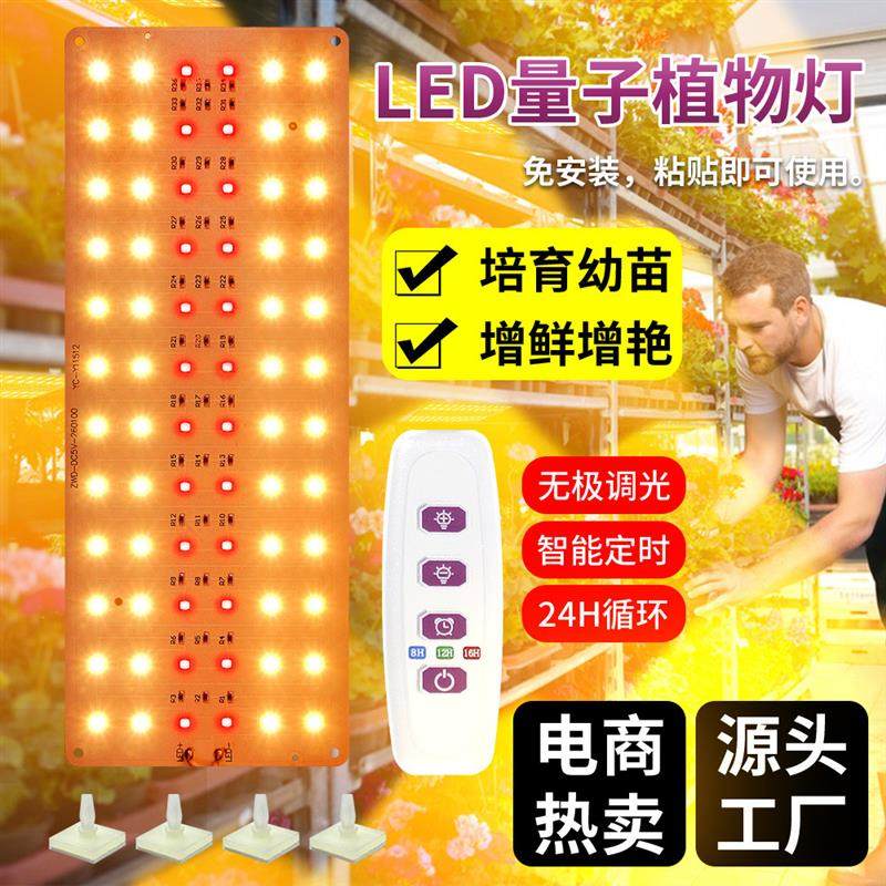 适配大棚室内LED植物生长灯USB5V量子板植物补光灯育苗灯现货厂家